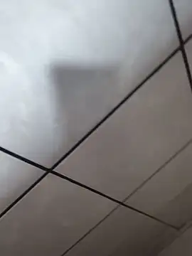 rdnovomgn Webbikameraesitys