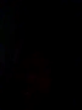 rdxsaad53のウェブカメラショー
