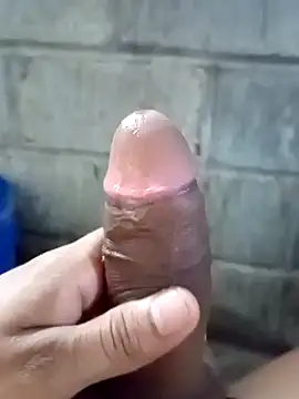 ga213333 Show Webcam