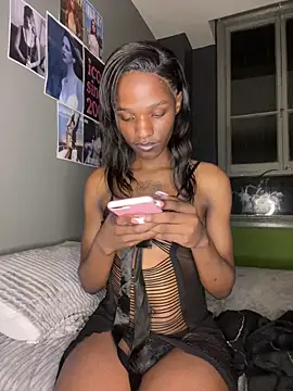 Chat XXX en directo de Trans_fairy