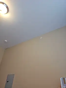 AmethystFoxx's Live XXX Chat