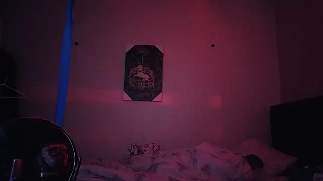hailzeffn webkamerás műsora