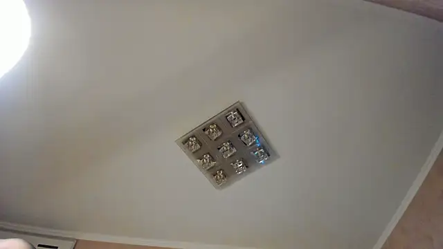 Diamond_D_'s Live XXX Chat
