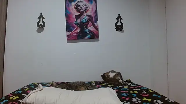 Živý XXX chat Crystal_Star_