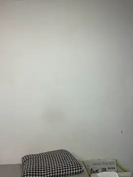 XBD-1のウェブカメラショー