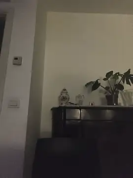 Lambe91's Webcam Show