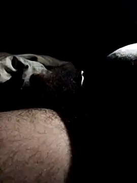 josepegop Show in webcam