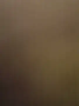 Webkamerová show MR_Fapprr