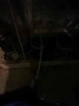 Chat XXX ao vivo de N3N3_SINS