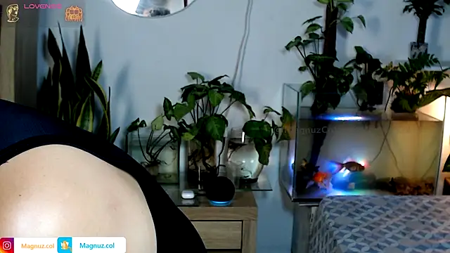 Magnuz_Col live XXX chat