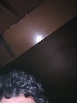 Pertunjukan Kamera Web lucho2328