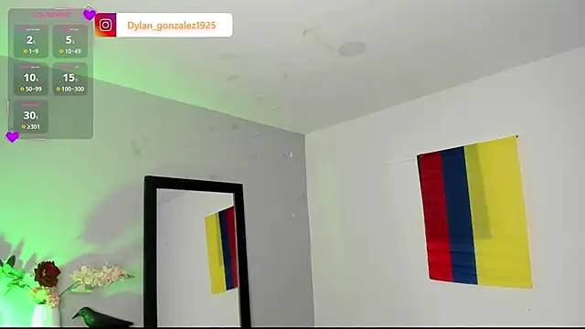 Chat XXX en directo de Dylan_Turnerr