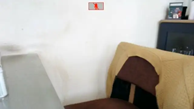 دردشة Hgay6935 الجنسية المباشرة