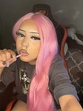 Show webcam de makeDollywet