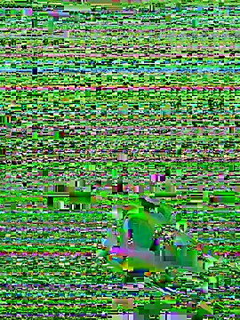 7494Angeln Webbikameraesitys