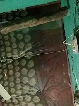 pandey_ji_ka_beta_hun Webbikameraesitys