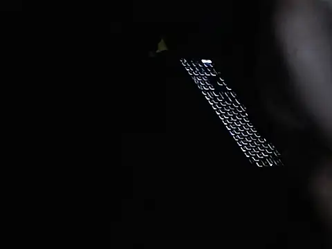 daveletsplay Шоу с уебкамера