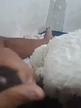 Show de carvalhodebarros na webcam