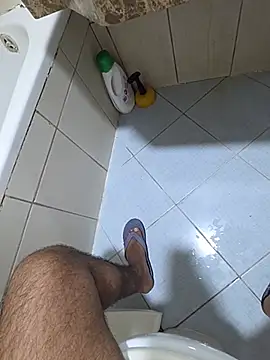 عرض كام dream_catcher