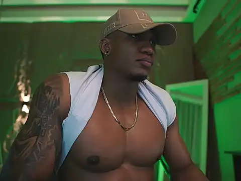 Chat XXX ao vivo de LoganVarela