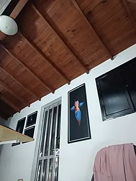 SilvaBranko Chat XXX in diretta