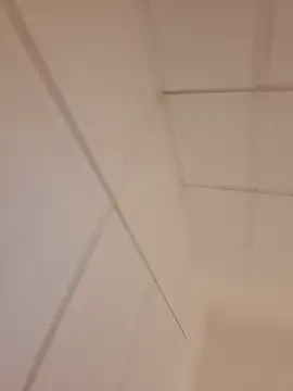 LApseProNN Webcam show