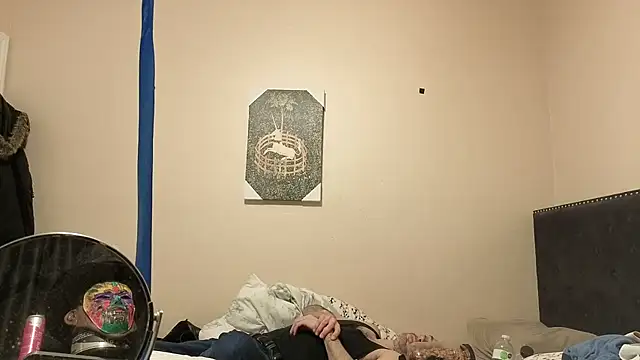 hailzeffn élő XXX-chatje