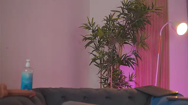 Aisha_Bee élő XXX-chatje