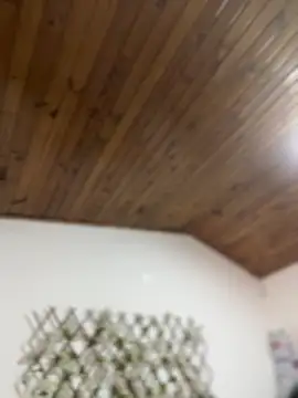 Chat XXX ao vivo de NikkiNix