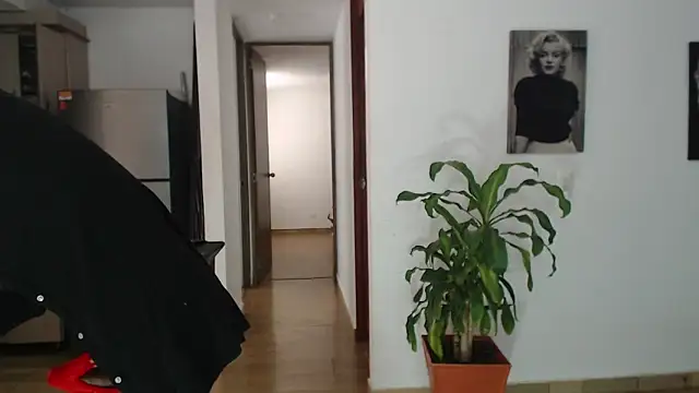 Chat XXX Live Ferotic_SexAddict