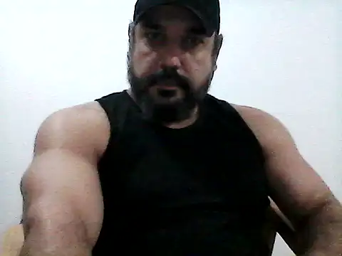 Chat +18 de stallony ao vivo