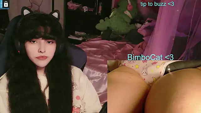 دردشة BimboCat الجنسية المباشرة