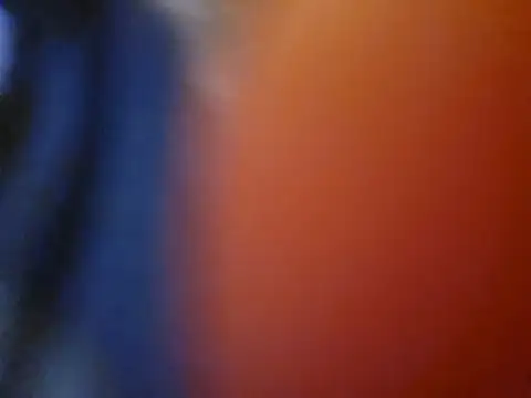Thickfun96 Webcamshow