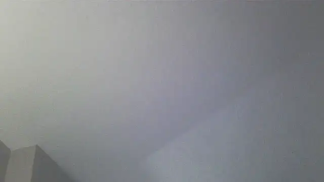 Smurfschmidt's Webcam Show