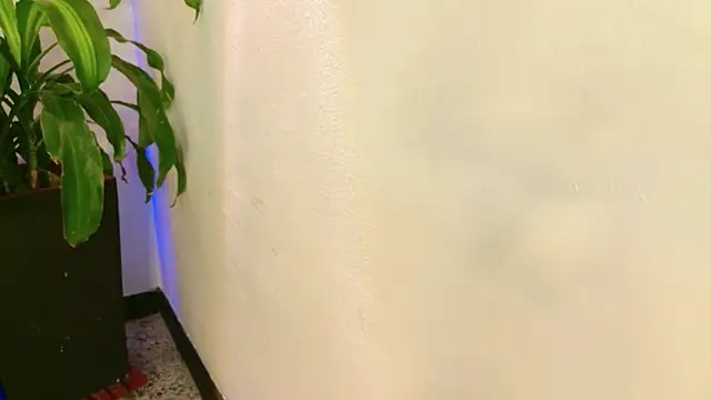 Živý XXX chat Mandy_boobs99