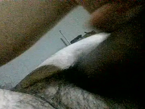 LuispingonX69 Webcam-Show