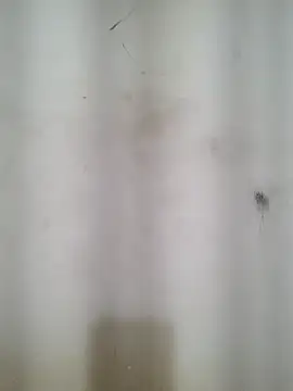 Cute_Kavya7 élő XXX-chatje