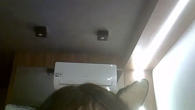Show Webcam de SkinnyKitten