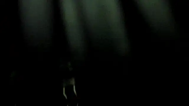 ailey_chao Live XXX-Chat