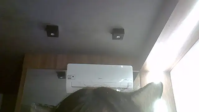 SkinnyKitten webcam show