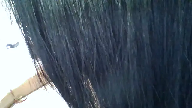 nowkim's Live XXX Chat