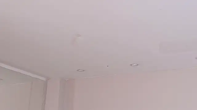 SusanAdams1 live XXX chat