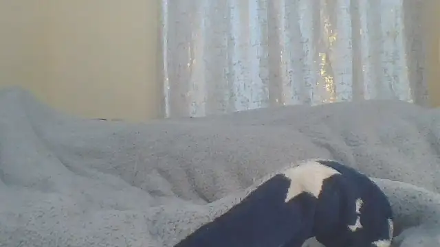 ndivhuwomuleya Live XXX-chat