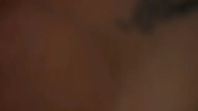 AishaSins Live XXX-chat
