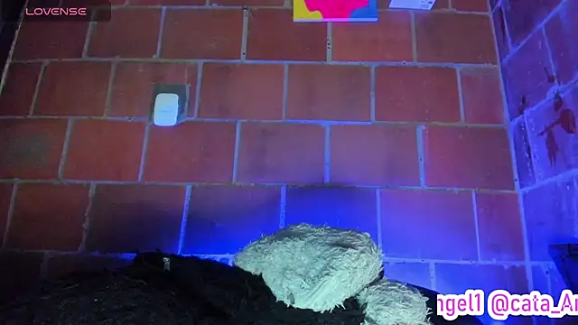 Chat XXX ao vivo de Cata-angel