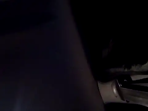 dustbunny64 Show in webcam