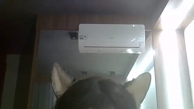 SkinnyKitten's Webcam Show