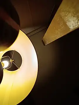 Pokazy przed kamerką – trashthisdick