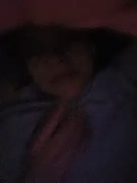 Lu-27's Live XXX Chat