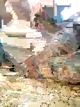_RazaL_ Chat XXX in diretta